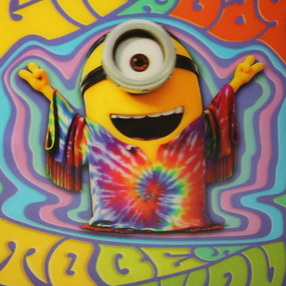 Minion Shadow Box - Picture 6 of 7